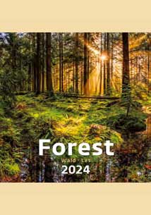 Forest - kalendáø